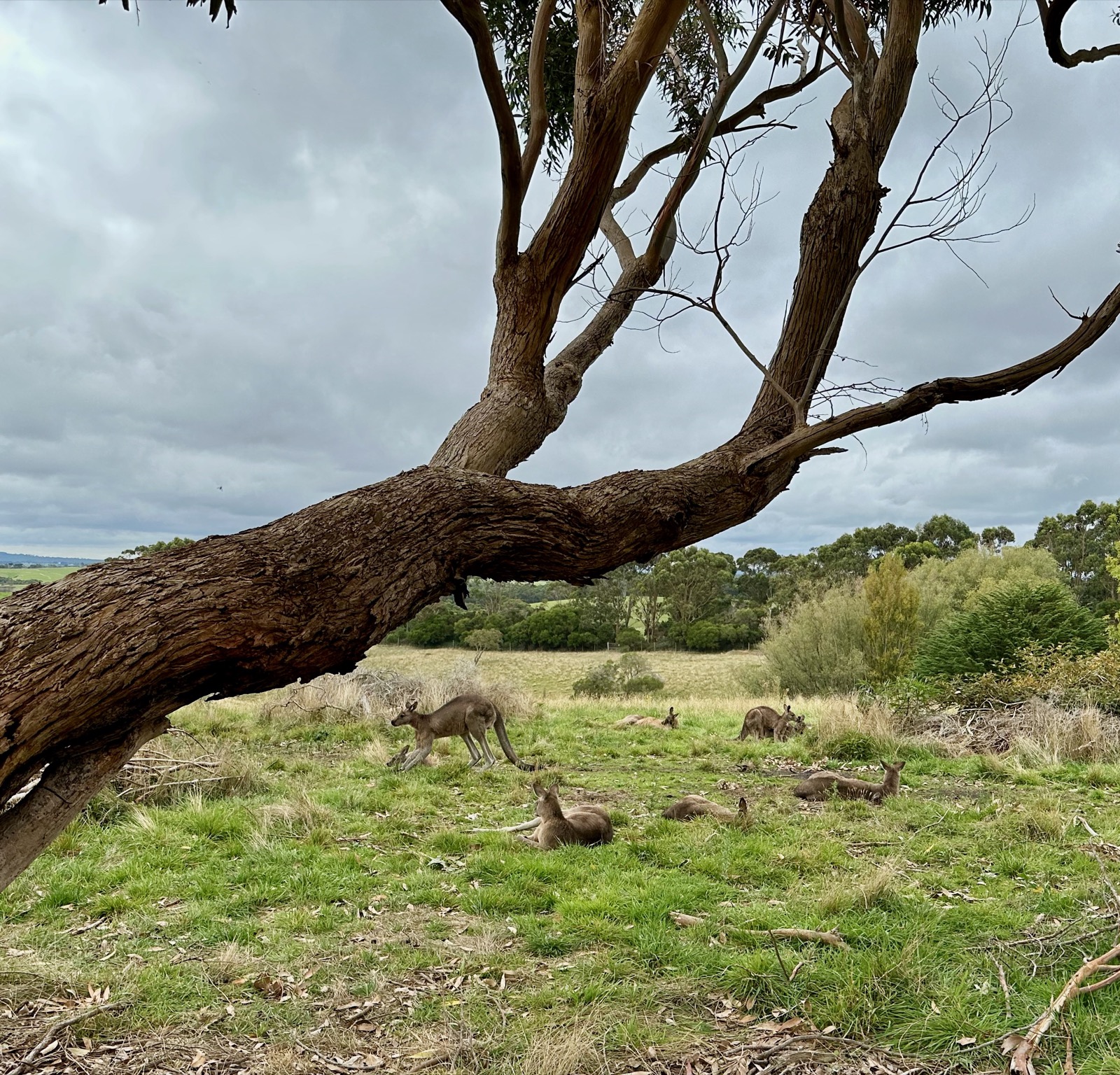 Field note photo